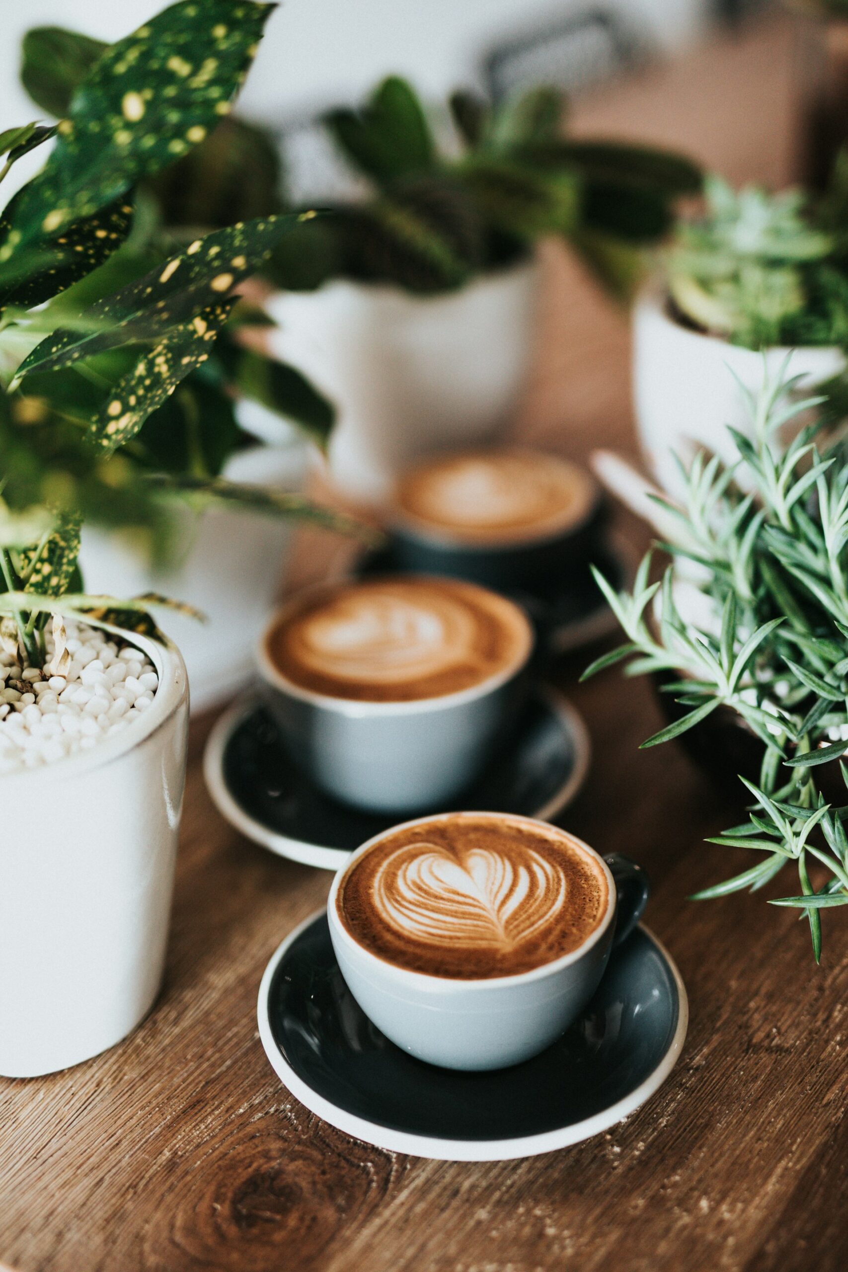 Byens bedste kaffebarer
